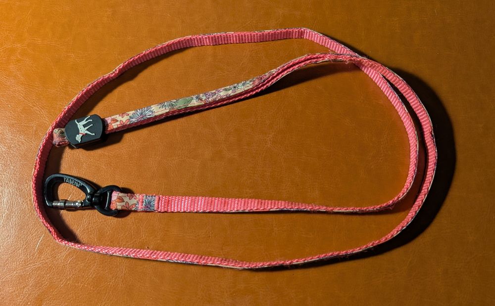 Одяг і аксесуари для маленької собачки (дівчинки)