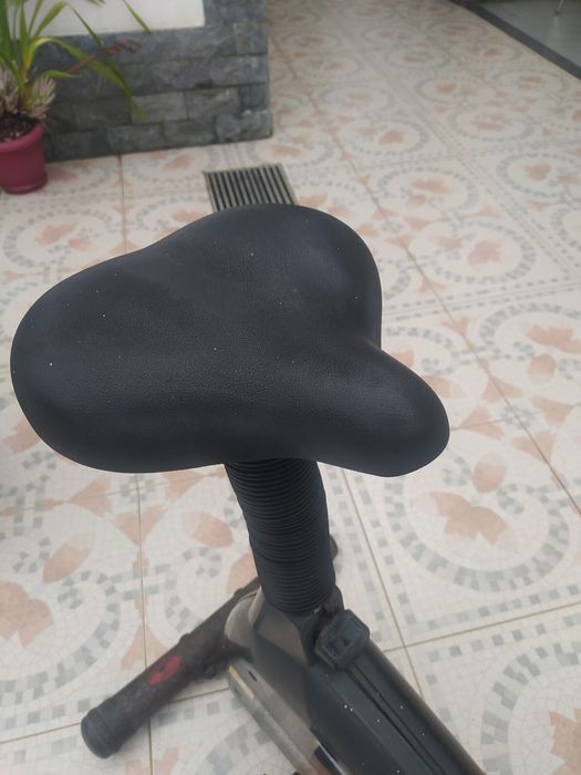 Bicicleta de ginástica440315260867727362