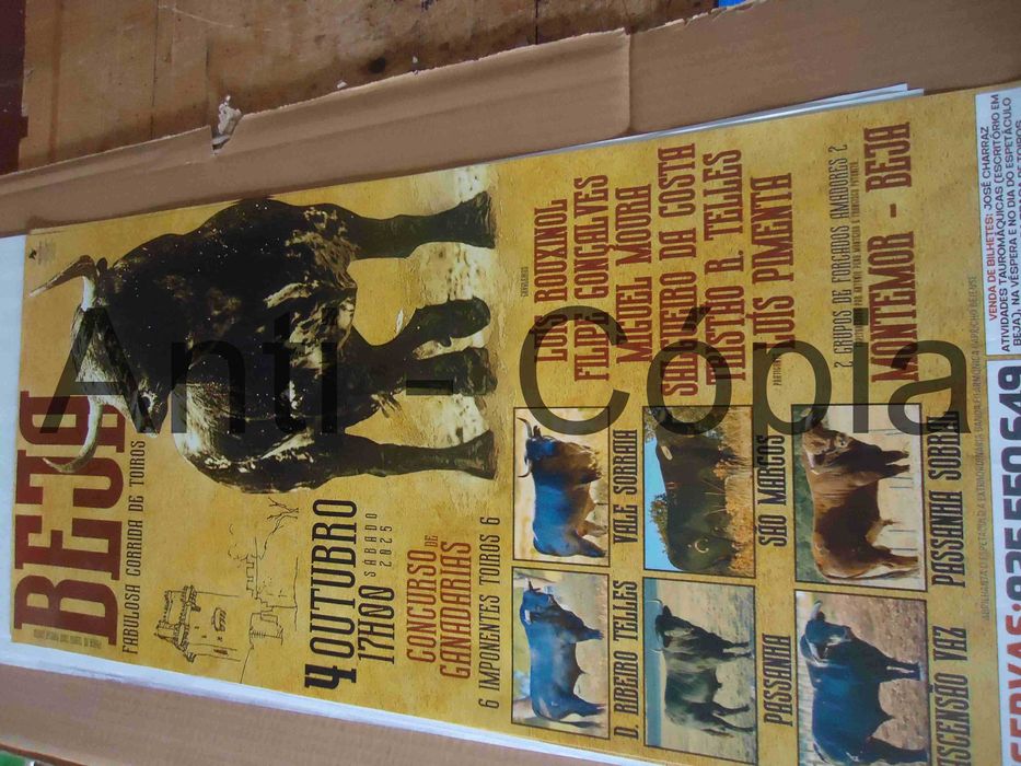 Toiros - Cartazes de Montra 3