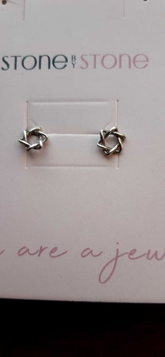 Brincos em prata círculo torcido