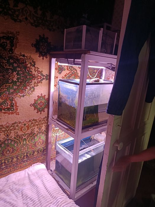продам аквариумы вместе с стойками