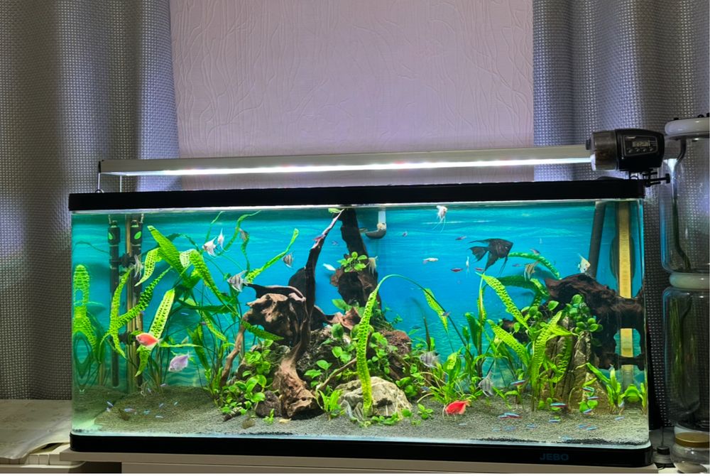 Акваріумний світильник Rival