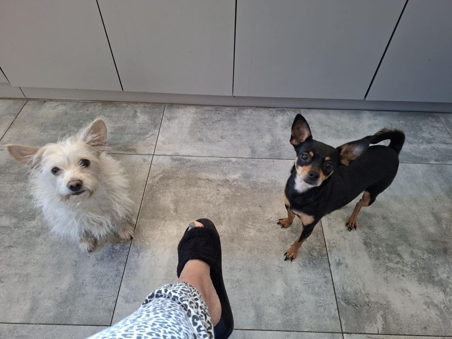 Nela- mała iskierka z charakterem