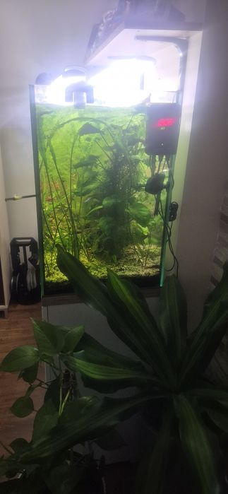 Sprzedam akwarium 300l kompletne
