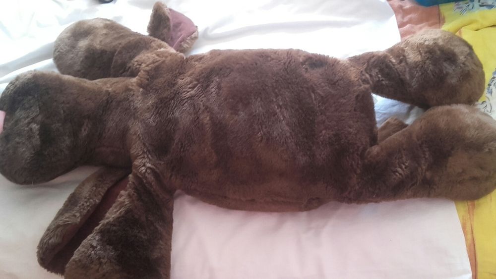 Cão de peluche cor castanho