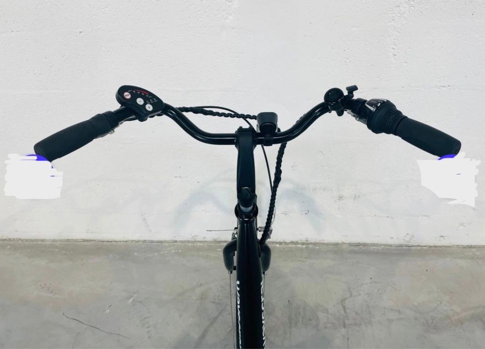 Wayscral Everyway E100 E-bikes