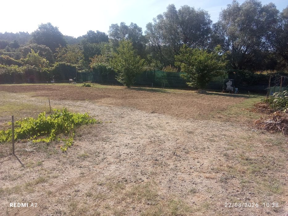 Terreno aluguer Fontoura