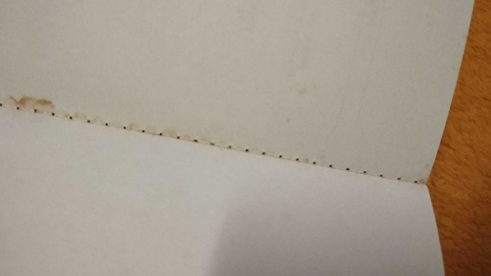 Interpelar a Sociedade Hoje