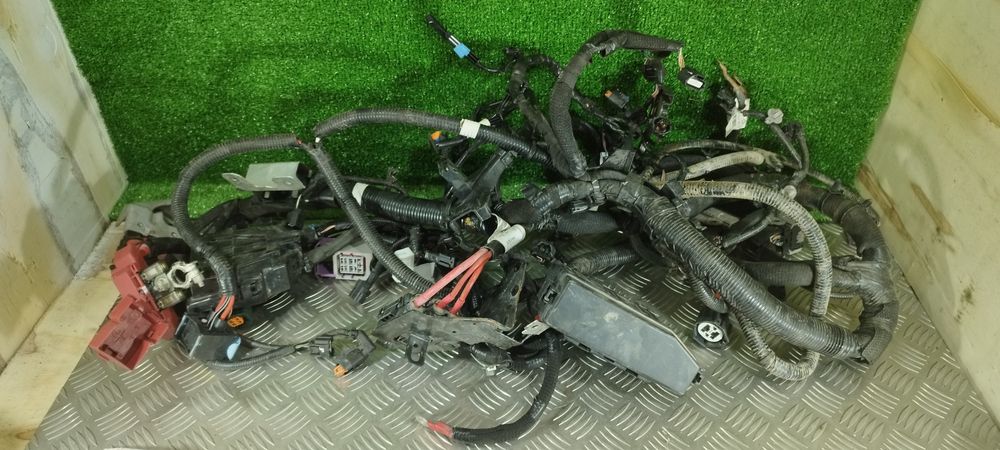 Cablagem interior para Renault Kadjar