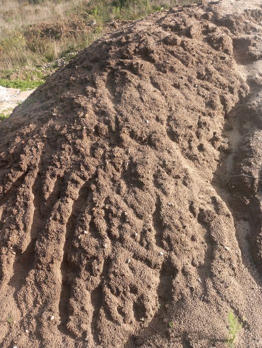 Seixo do rio, areia do pinhal