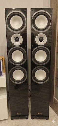 Magnat Quantum  677