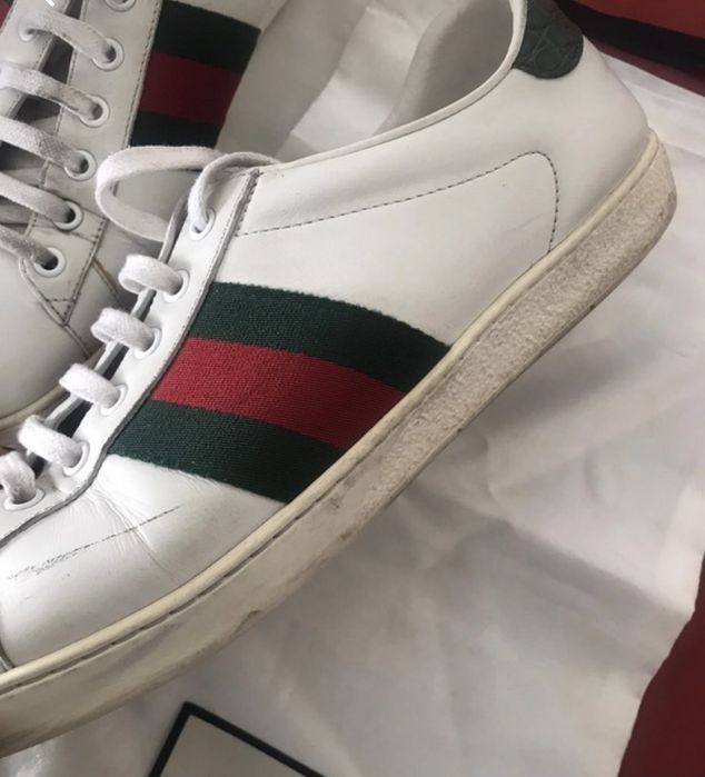 Tenis da Gucci / Ace sneaker