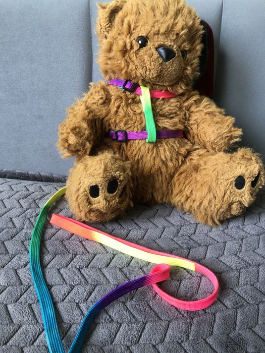 Повідець для котика