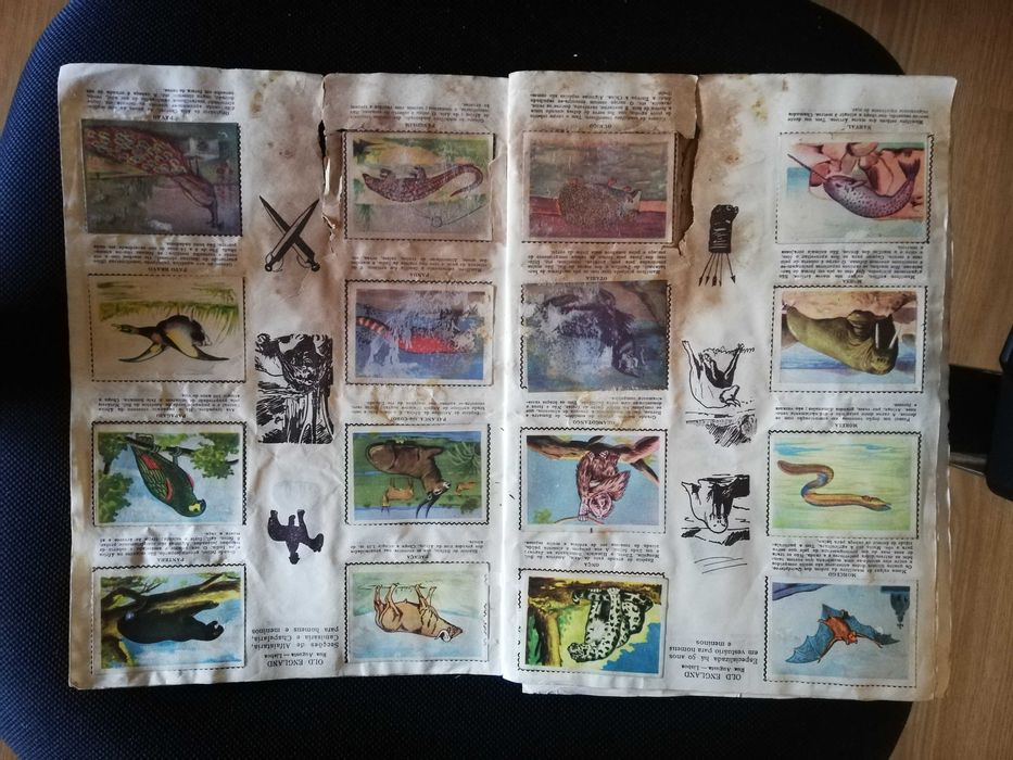 Cromos Mundo Maravilhoso do Reino Animal