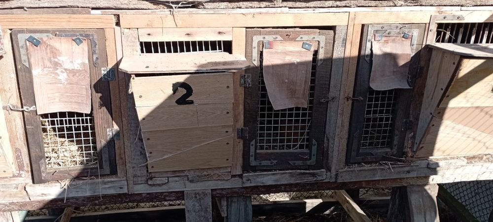 Клітки для кролів