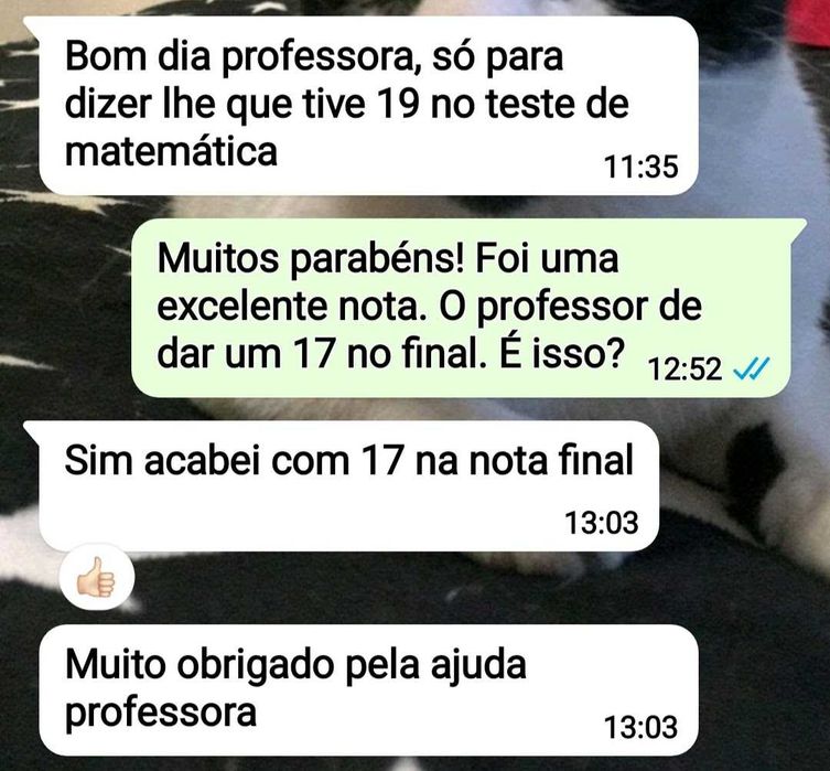 1⁰ até 12⁰ ano | Universidade | Professora de Matemática | Explicações