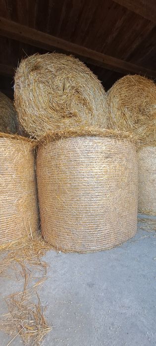 Sianokiszonka, kiszonka, słoma, bele, baloty