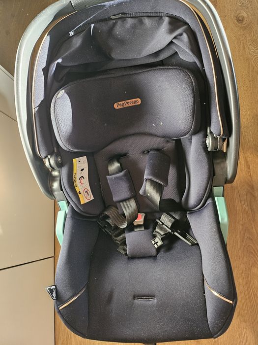 Baby coque peg peregio