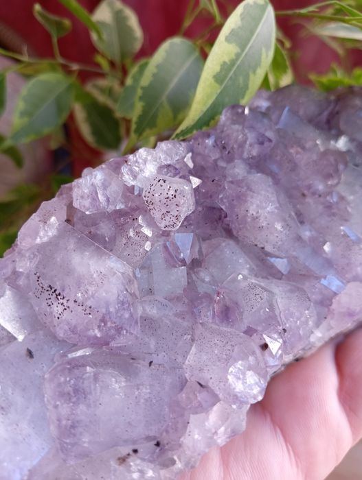 Друза аметисту, Бразилія