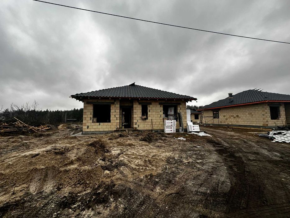 Одноповерховий будинок серед сосного лісу поряд з Києвом, Дмитрівка