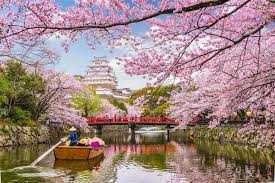 Guia de viagem DK " JAPÃO " (espanhol)