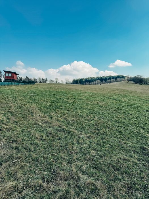 Działka 2806 m² z widokiem na góry  Krzyżanów – Lewin Kłodzki - Widok 6