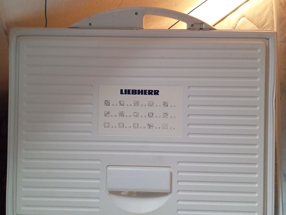 Arca congeladora   250 l