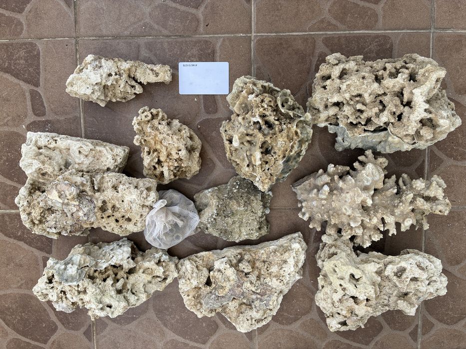 Sucha skała do akwarium morskiego ok. 15 kg
