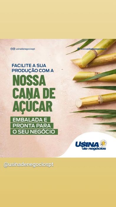 Maquina caldo de cana