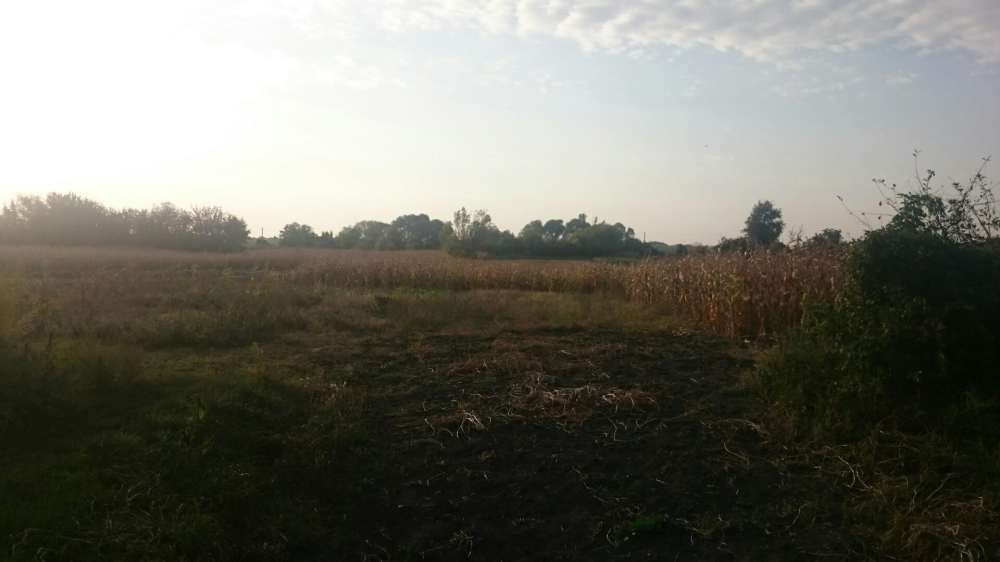 Продам земельну ділянку