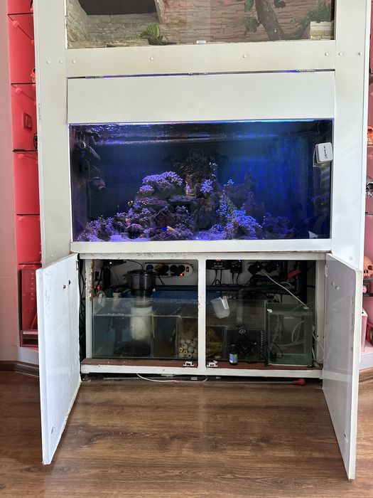 Akwarium morskie do zabudowy