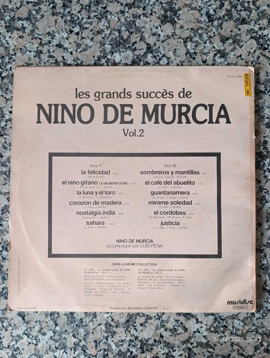 Vários discos de vinil de 33 tours