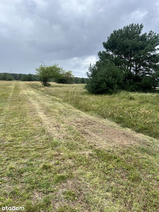 Działka budowlana 3010 m² prąd w drodze