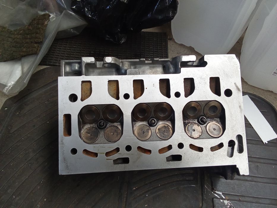 Cabeça polo e Peugeot