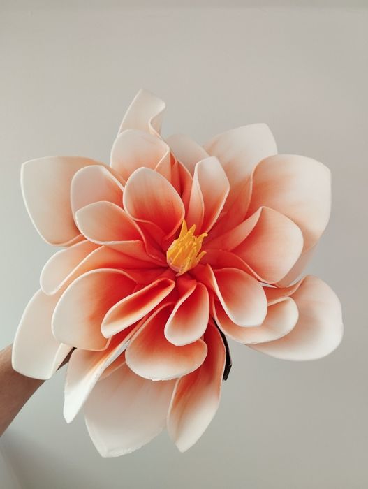 Magnolia piankowa