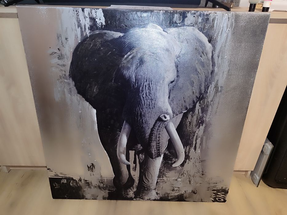 obraz słoń 100x100 duży