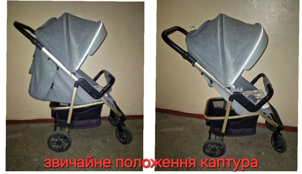 ВИШЛЮ Прогулянковий візочок Echo Carrello