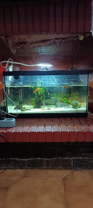 Aquário de água quente toda equipada