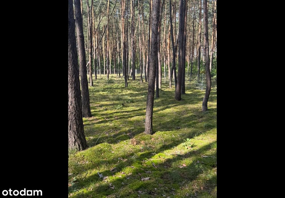 Działka budowlana z mediami w cichej okolicy