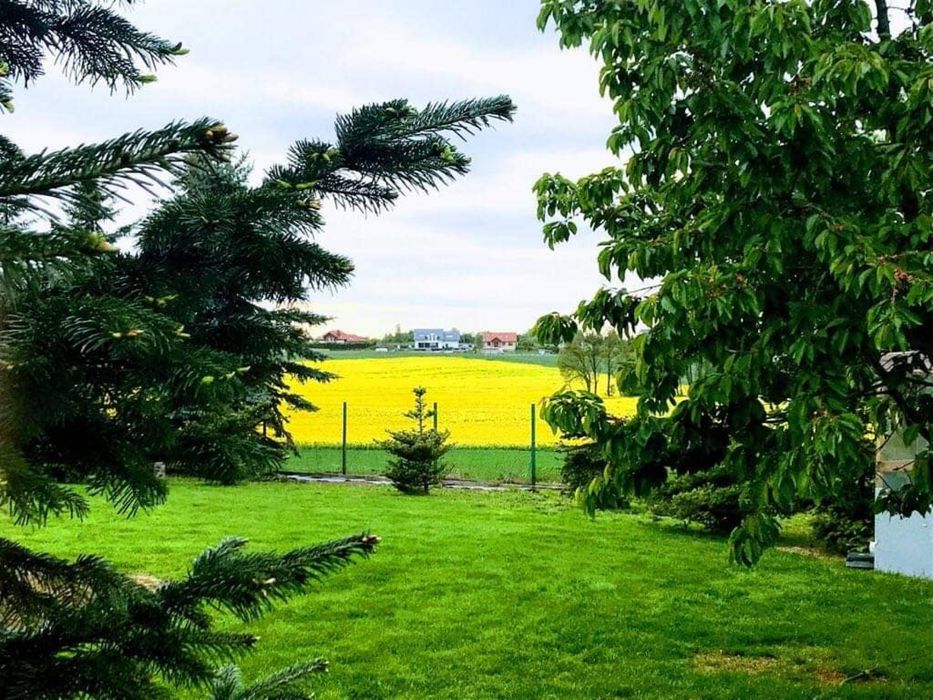 Nocleg pokoje Czarnków