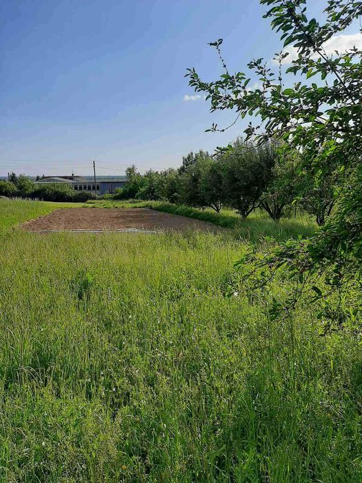 Н/Б. Концово , Ужгорд