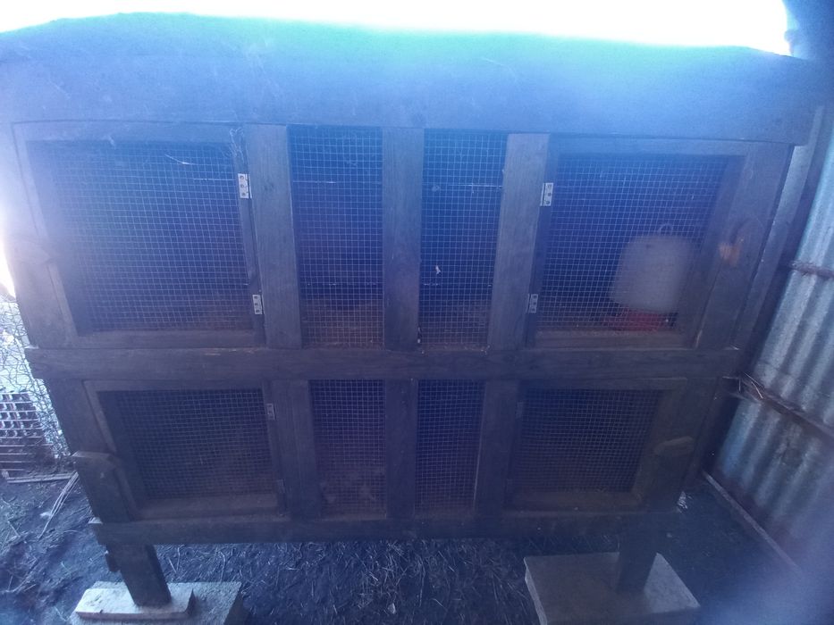 Vendo coelheira de madeira