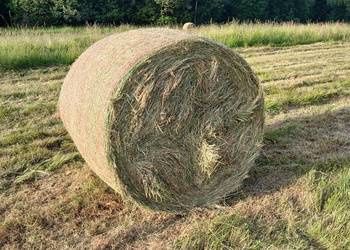 Sprzedam siano w balotach.