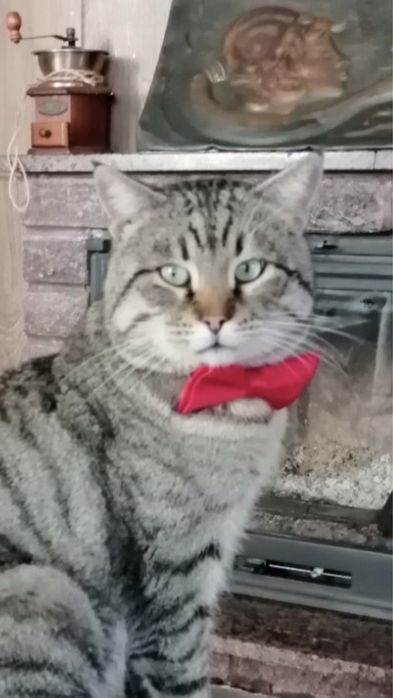 Аренда посуточно дома Одесса