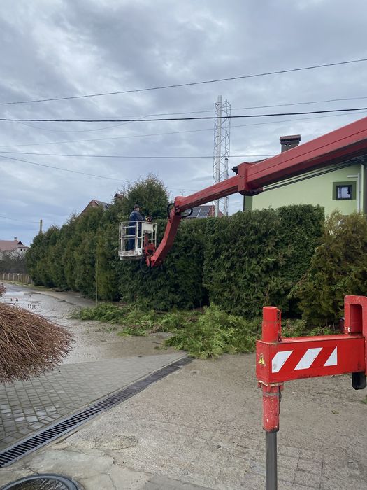 Зрізання дерев будь якої складності