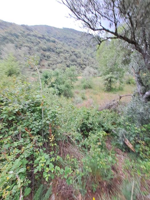 Venda de terreno com 2 600 m2 em Babe - Bragança