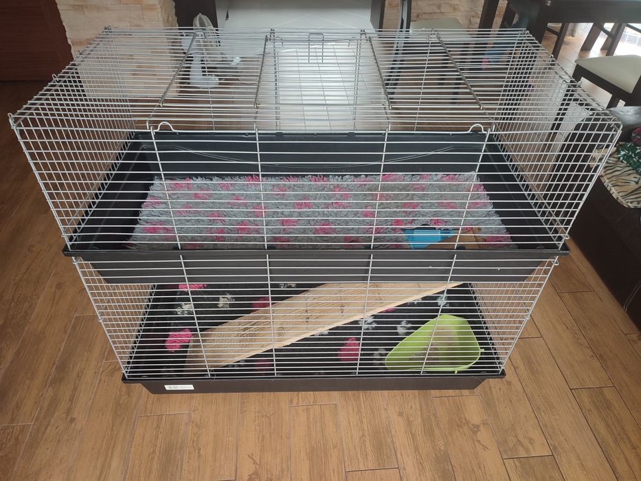 Duża klatka piętrowa 120 cm x 60 cm dla świnki morskiej, królika