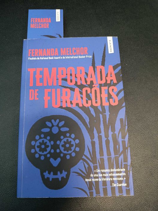 Temporada de furacões, de Fernanda Melchior