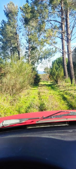 Terreno com casa para recuperar com mais de 2 hectares