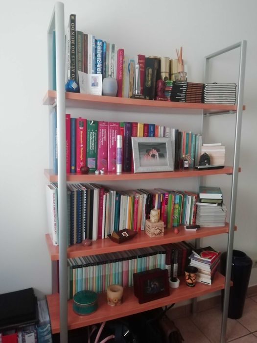 Estante (armação em alumínio + prateleiras maciças)